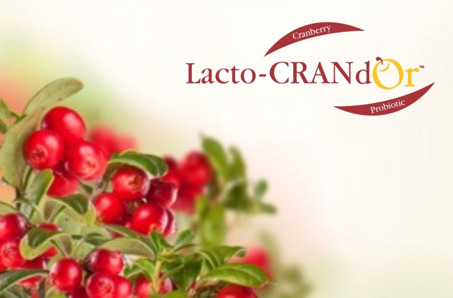 Lacto-CRAN